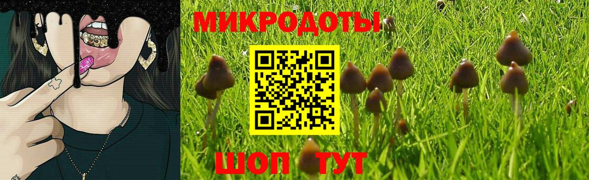 Псилоцибиновые грибы Psilocybine cubensis  Вход с VPN  Псилоцибиновые грибы ЛСД  Анапа 