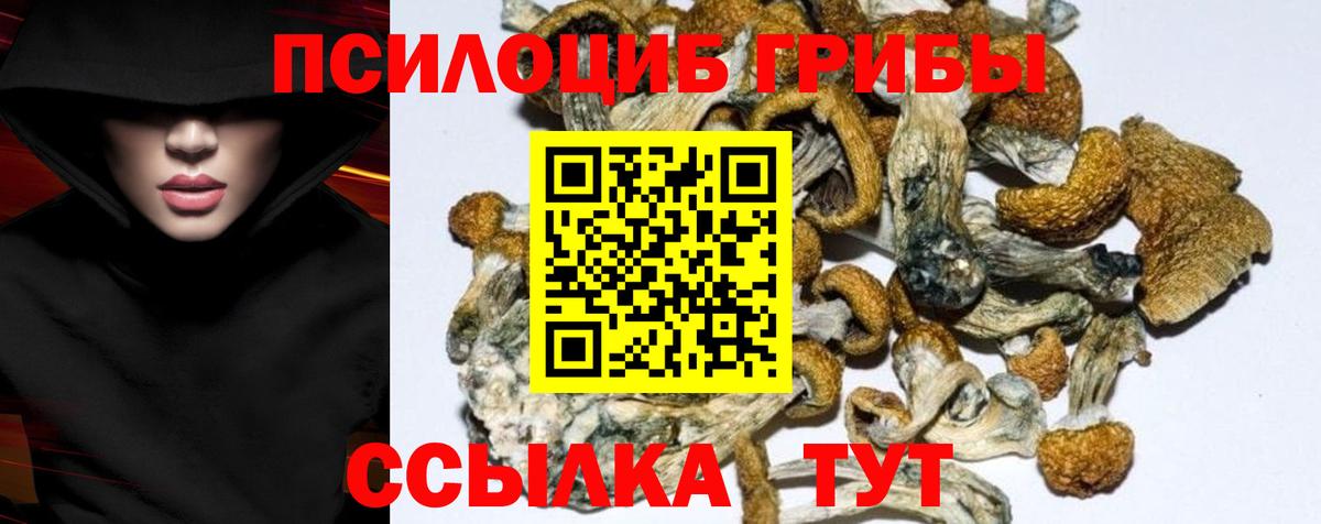 Псилоцибиновые грибы Psilocybe Анапа
